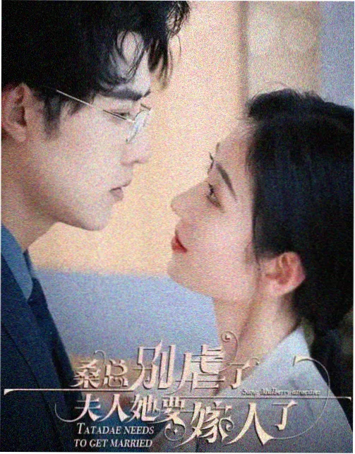 常规赛与季后赛节奏差异精选封面